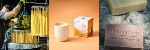 Candles for a Luminous Fall Candles for a Luminous Fall