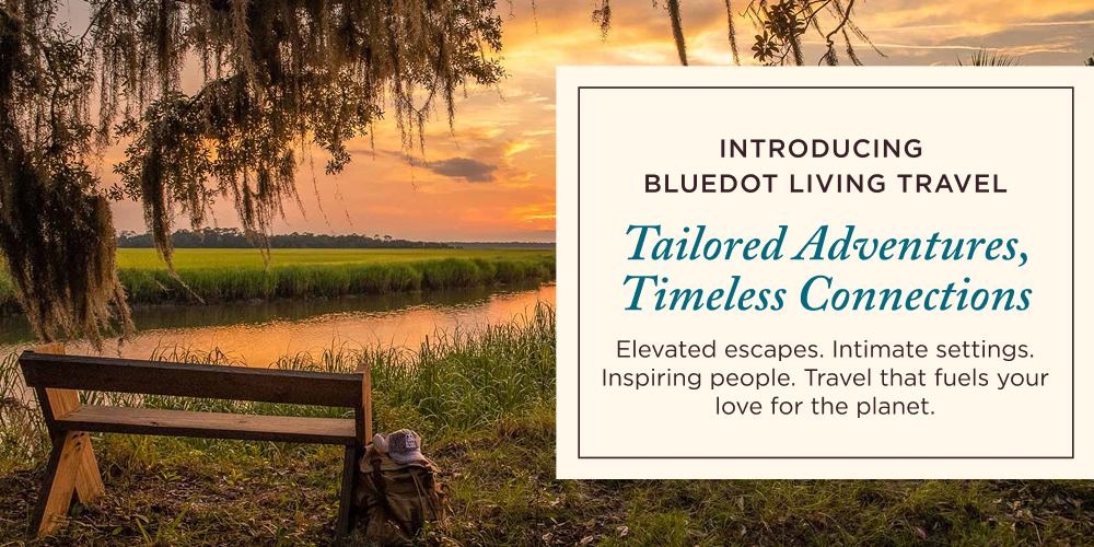 BDL Travel BDL Travel