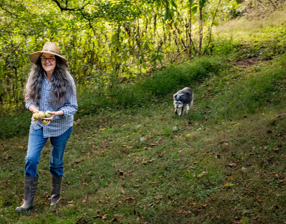 woman walking with her dog woman walking with her dog