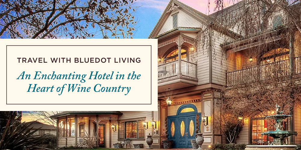 Bluedot Living Travel Bluedot Living Travel