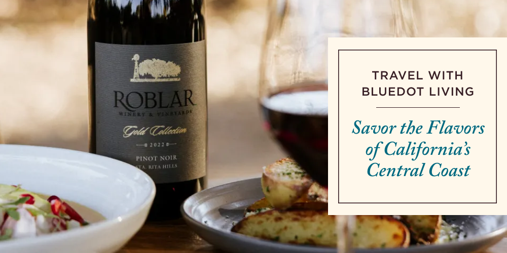 Sea Bags Giveaway Sea Bags Giveaway