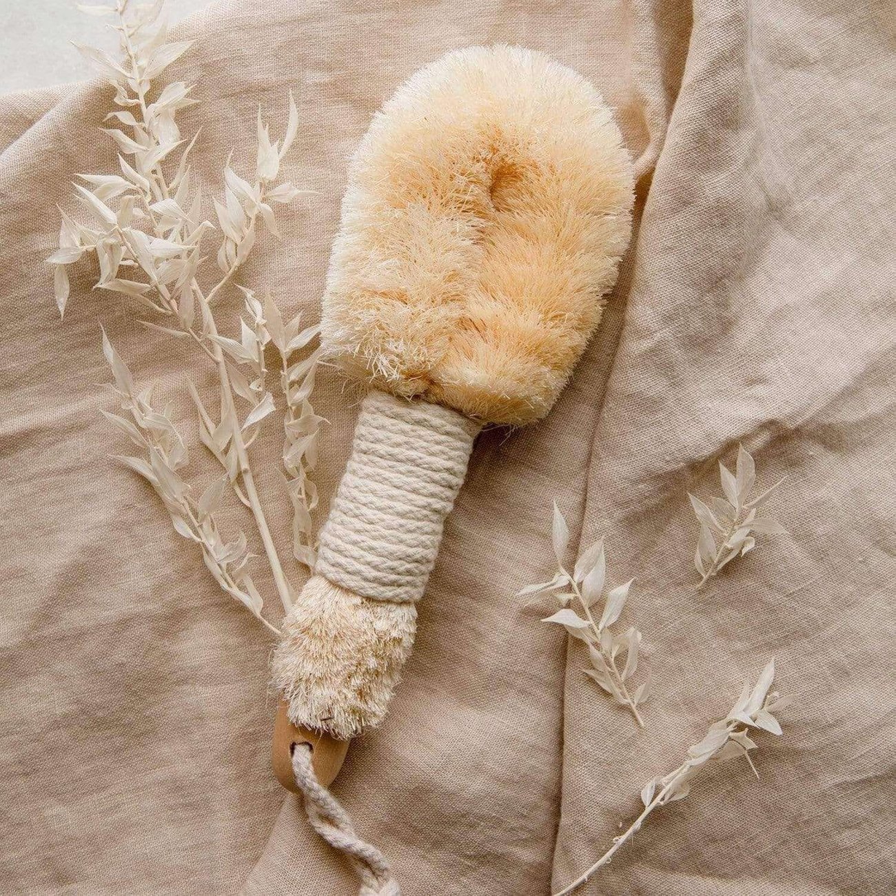 Dry Brushing