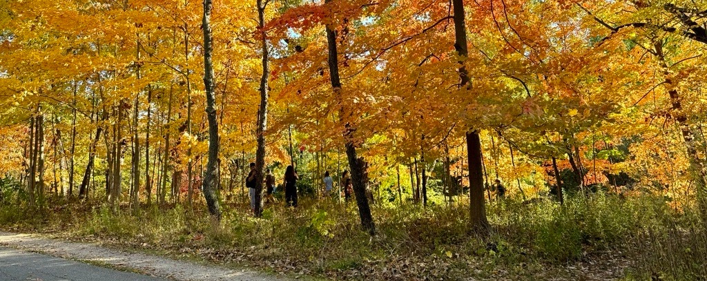 Researchers at Field Museum scan a mummified individual displayed in the “Inside Ancient Egypt” exhibition. (Morgan Clark / The Field Museum) Researchers at Field Museum scan a mummified individual displayed in the “Inside Ancient Egypt” exhibition. (Morgan Clark / The Field Museum)