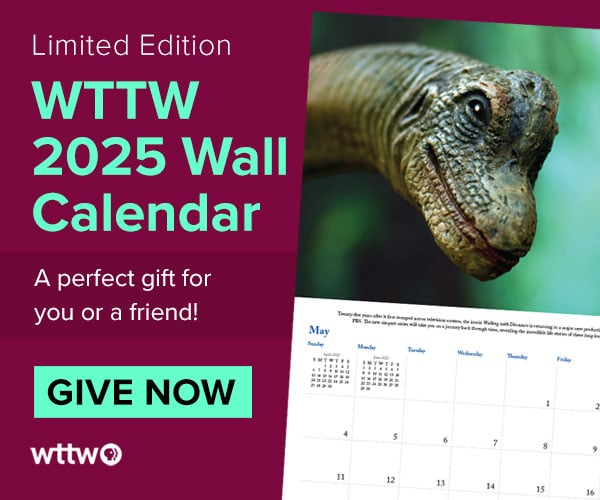 Ad: Get the limited edition WTTW 2025 Wall Calendar - Donate Now!