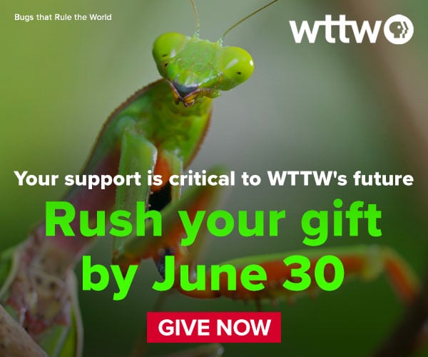 Ad: Rush Your gift to WTTW by June 30 - Give Now!