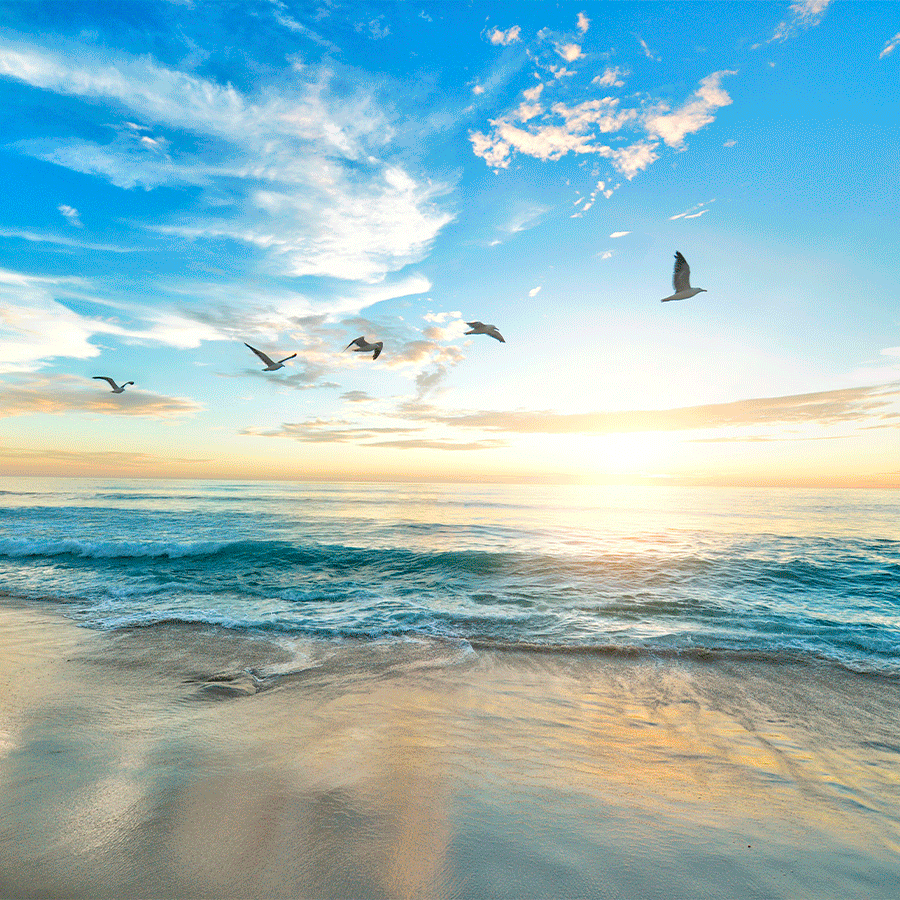 Horizons lointains