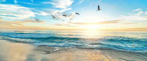 Horizons lointains