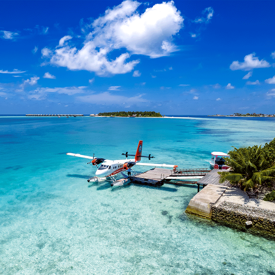 Parenthèse insulaire