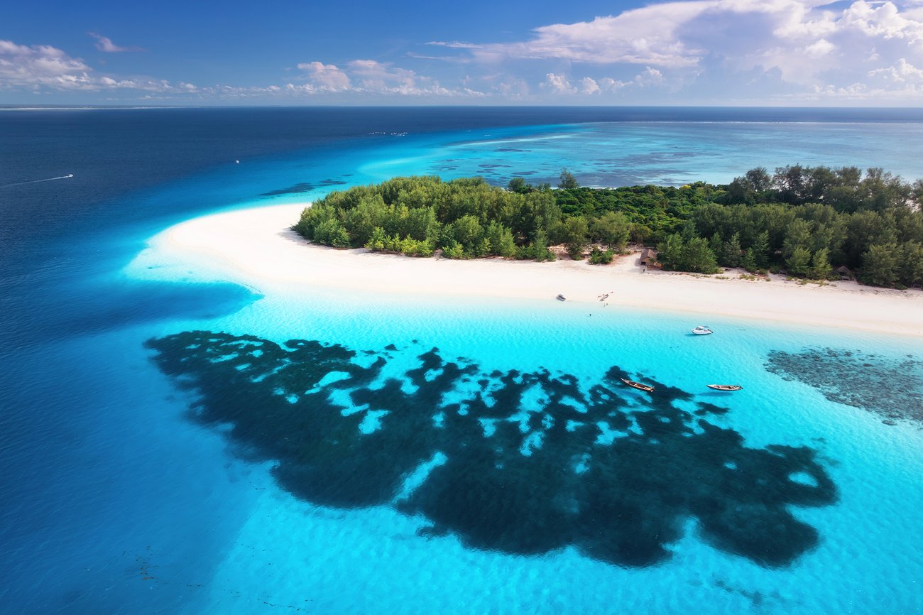 Plongée sous-marine à Zanzibar