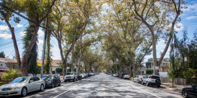 Photo of a tree-lined street