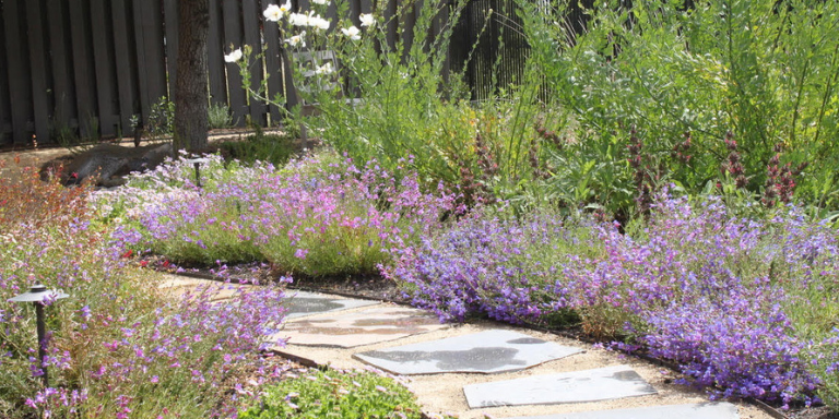 Water wise landscaping Water wise landscaping