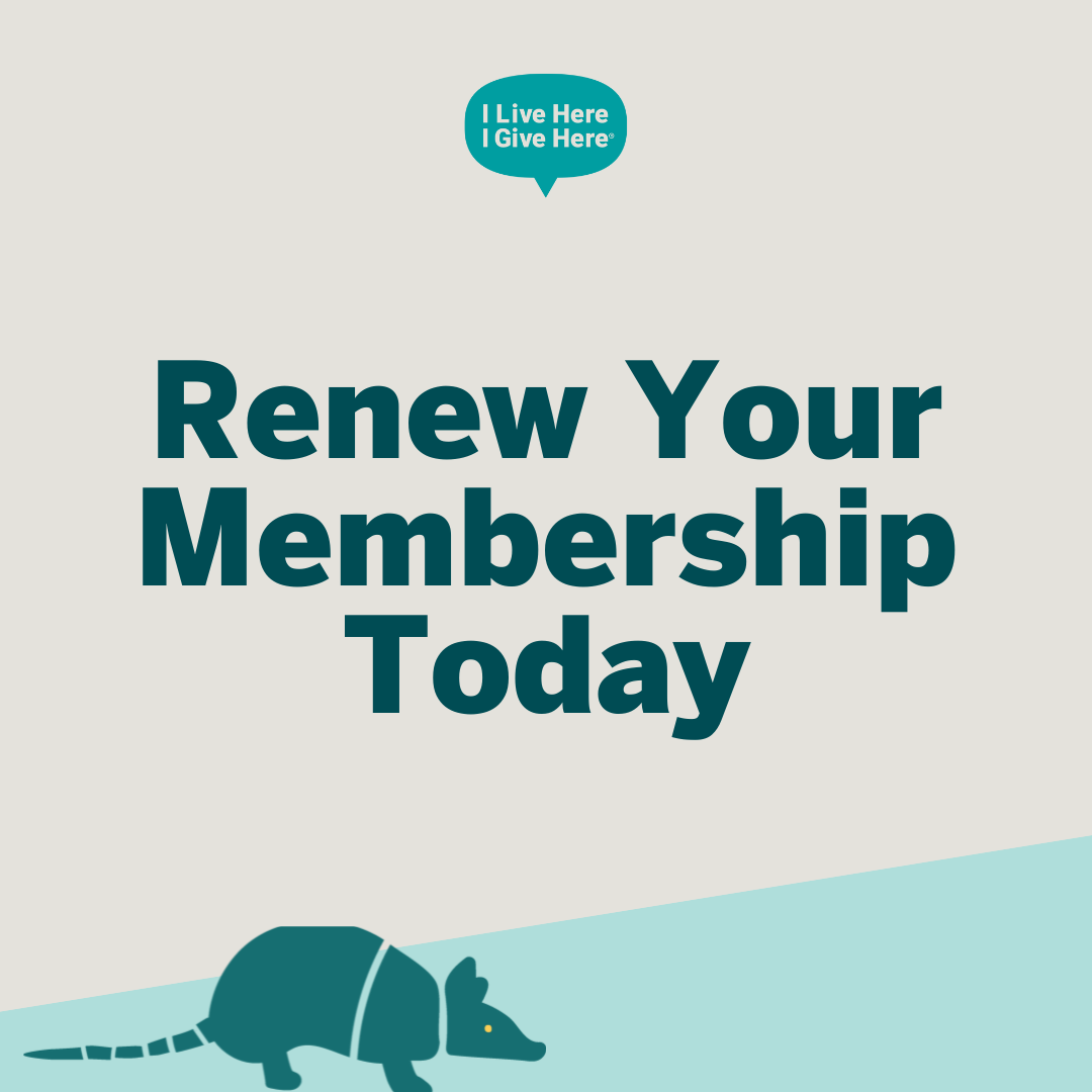 Renew your membership today