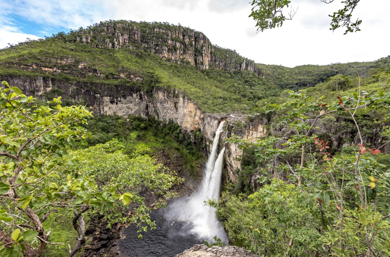 Crie do jeito que você quiser