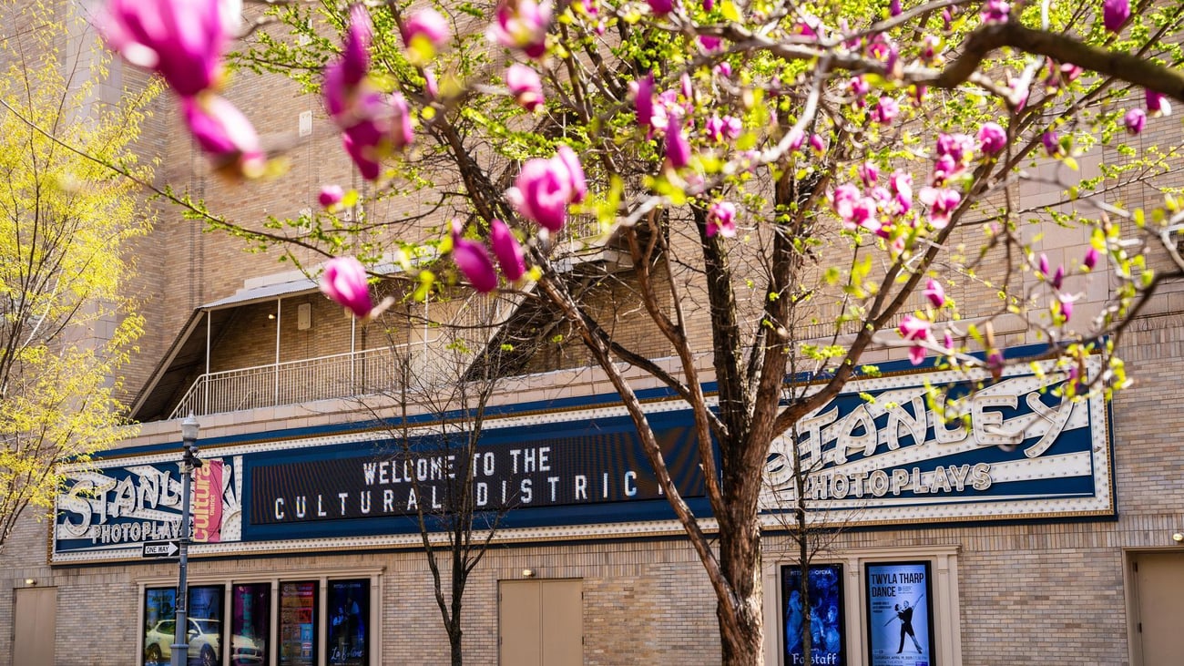 Pink flowers bloom on a tree in the foreground, with a brick building in the background displaying a marquee sign that reads Welcome to the Cultural District.