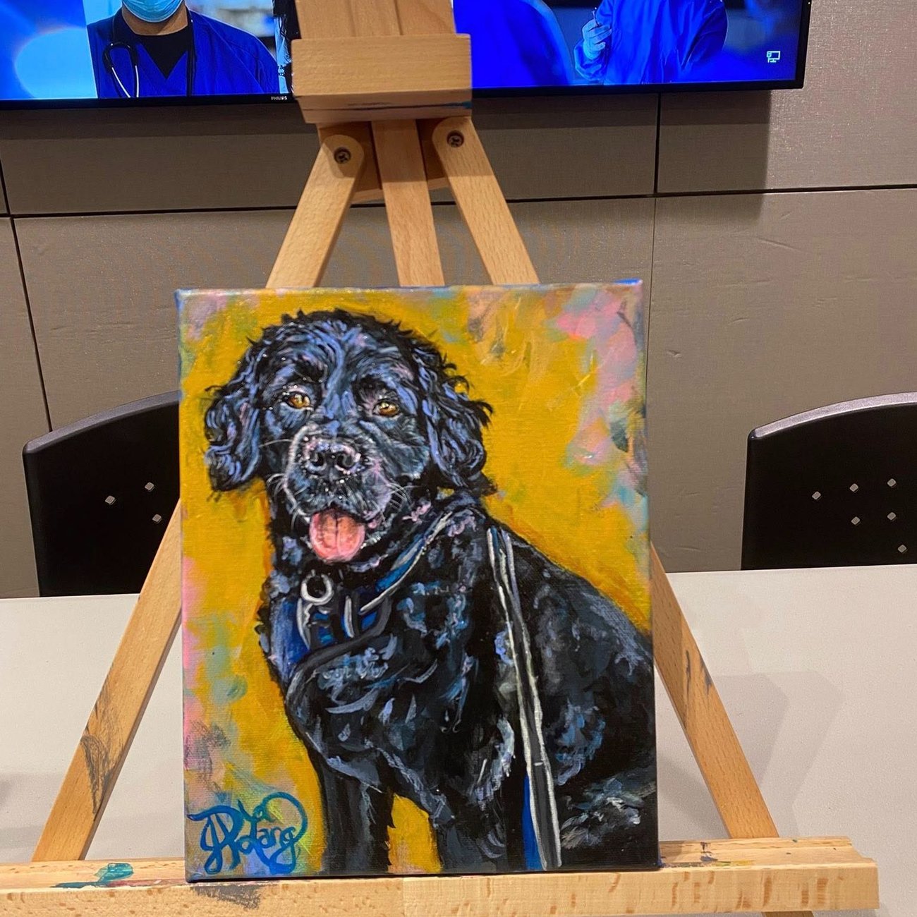 Portrait of BMC Healing Pup, Blue 