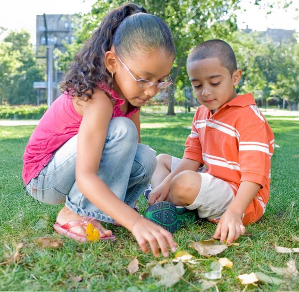 Children Playing in Leaves