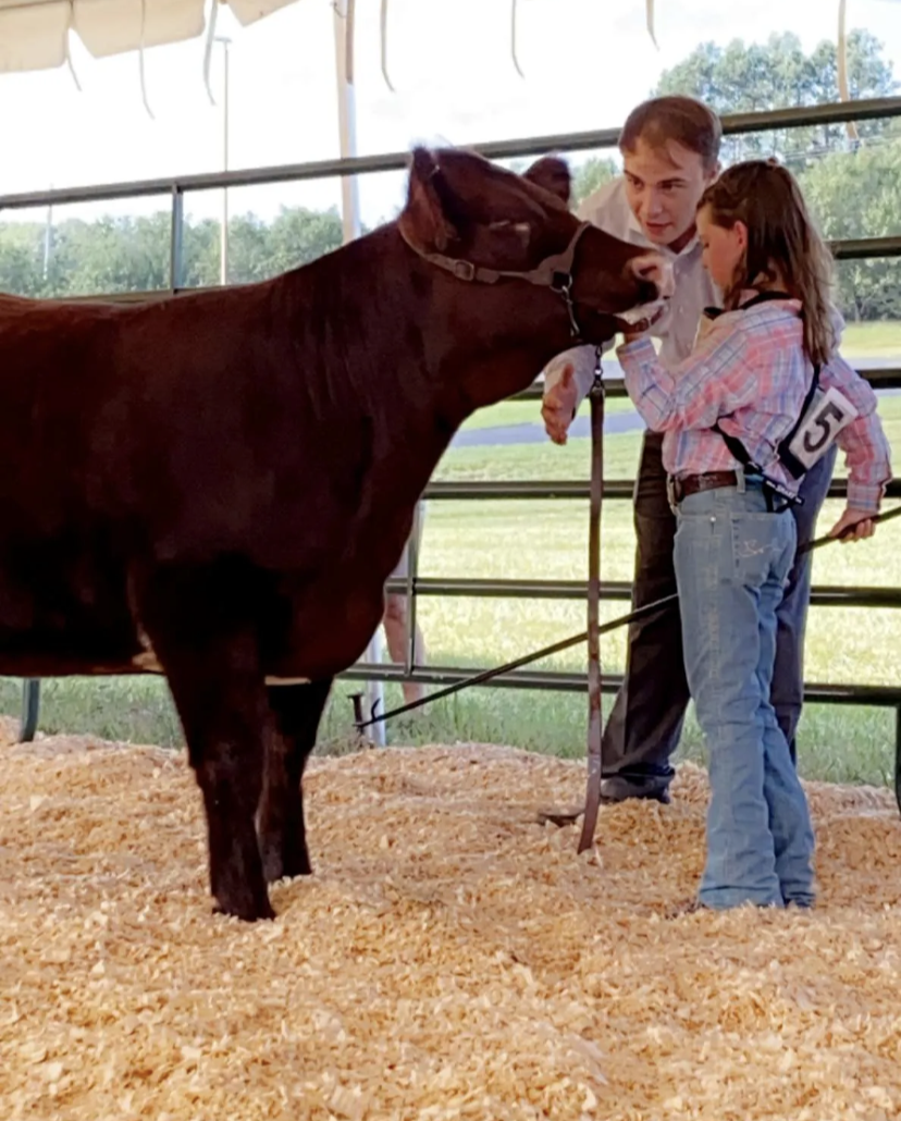 Image of 4-H Farm Credit Showmanship Circuit Schedule