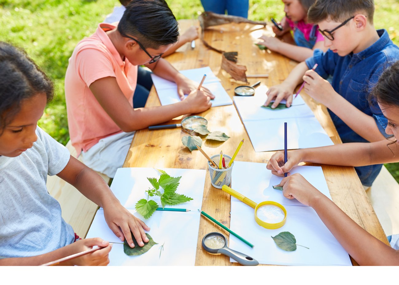 Image of young people examining leaves and learning outside at a table