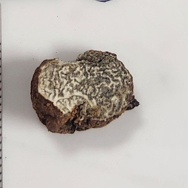 Image of a truffle cut in half with white and black marbling.
