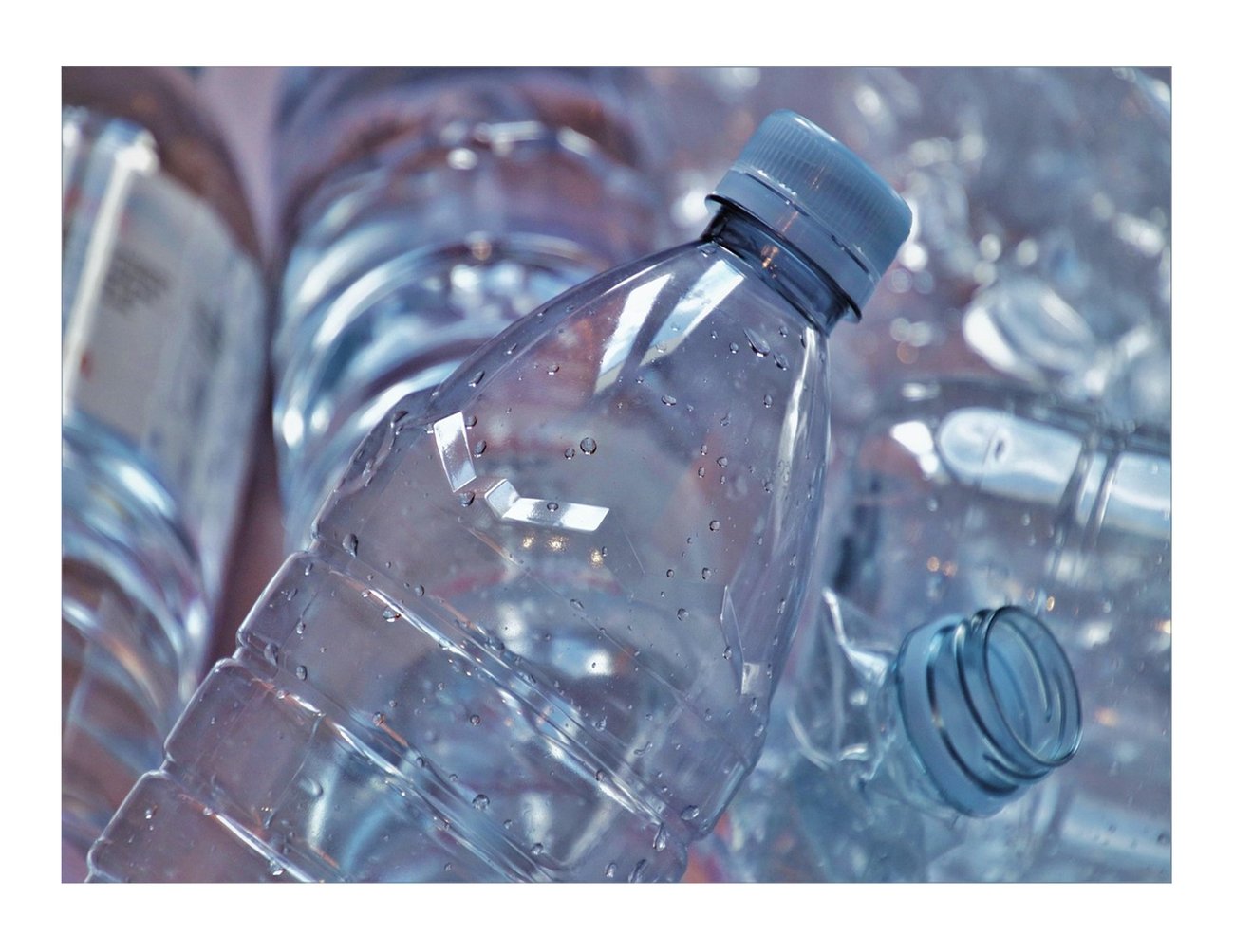 pile of empty two liter bottles with no labels pile of empty two liter bottles with no labels