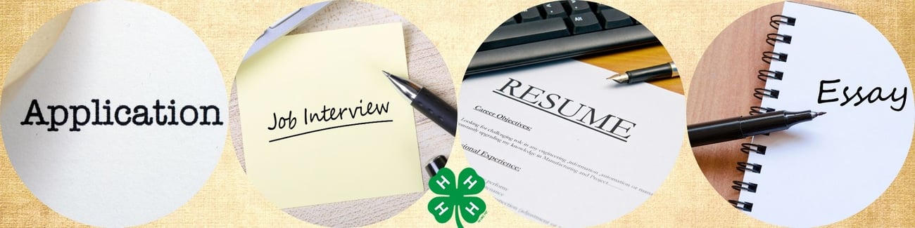 Application, Job Interview, Resume, Essay