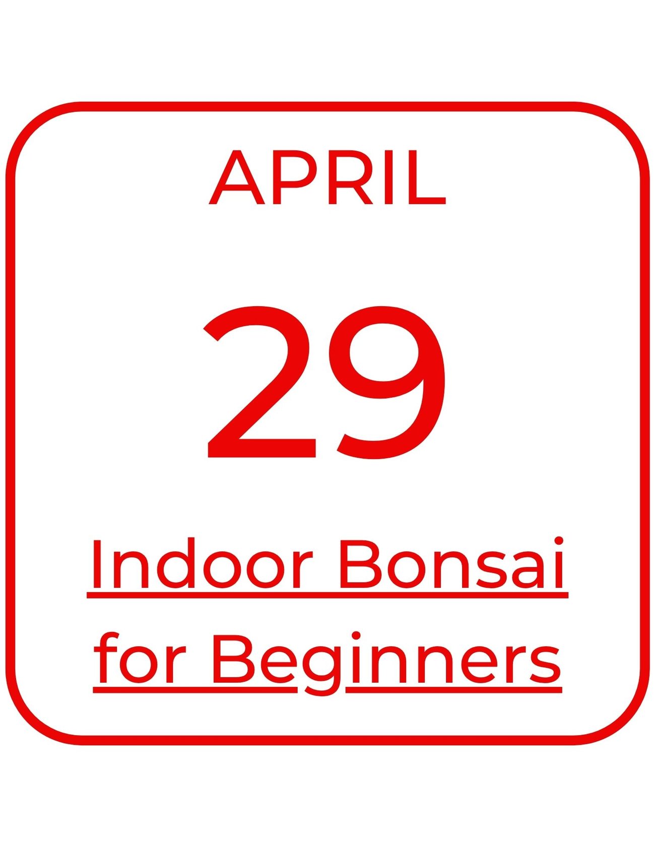April 29 Indoor Bonsai for Beginners