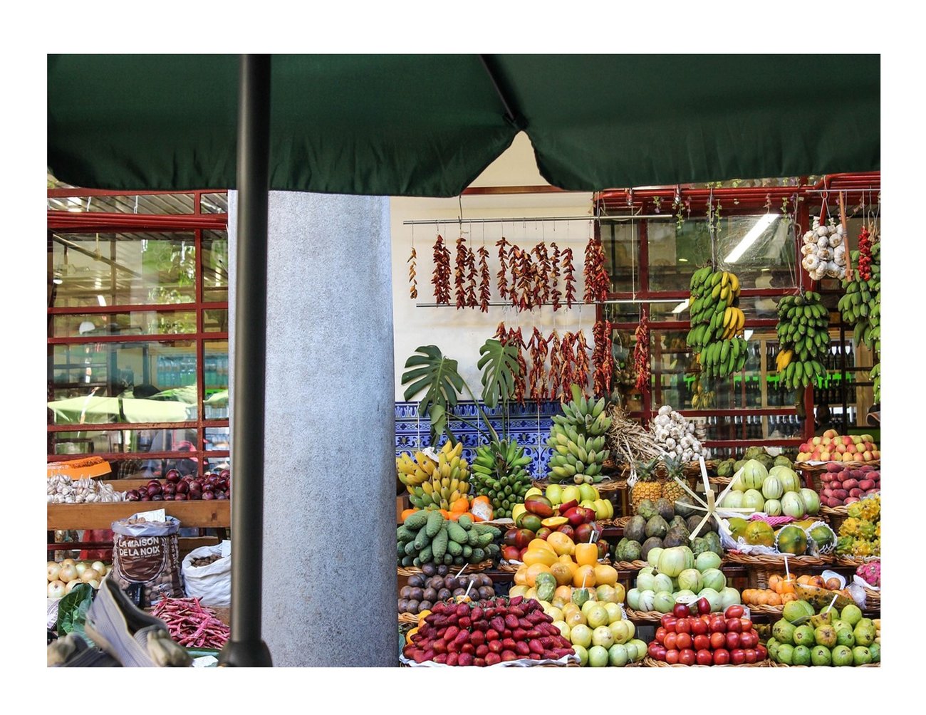various fruits and vegetables on display in background with a green umbrella with a brownish/black pole in foreground