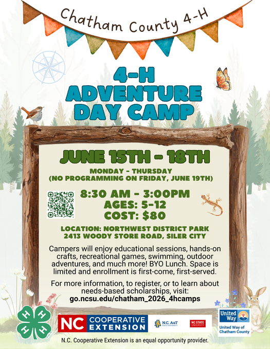 Decorative flyer highlighting 4-H summer camp programs
