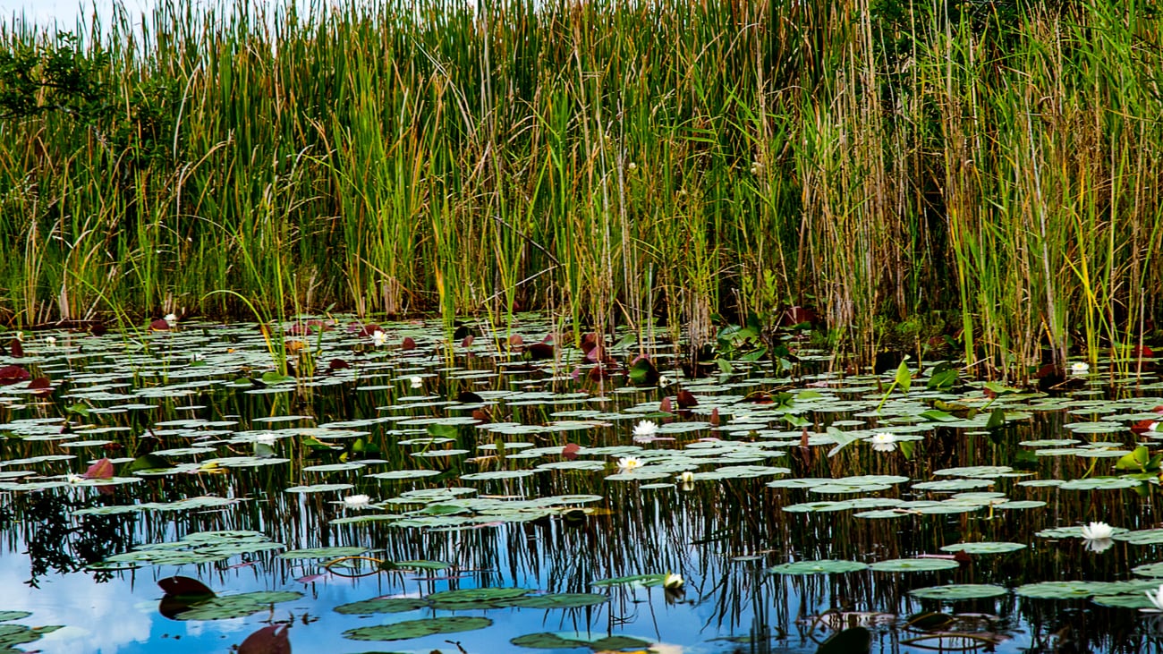 A header image to separate sections