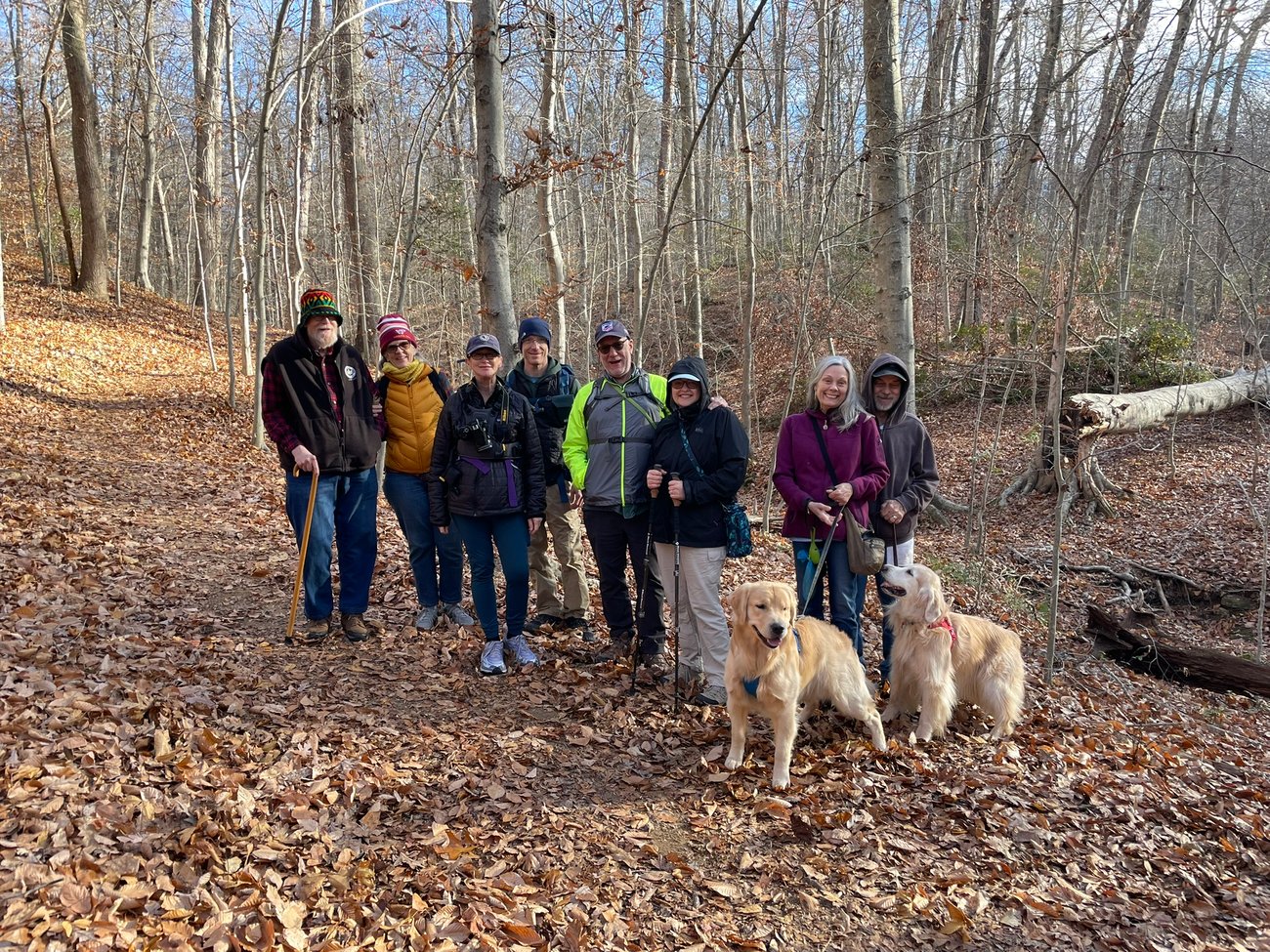 local hikers November 2025