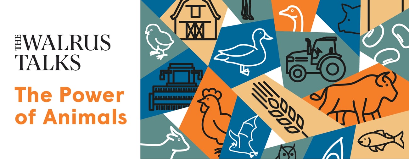 The Walrus Talks The Power of Animals