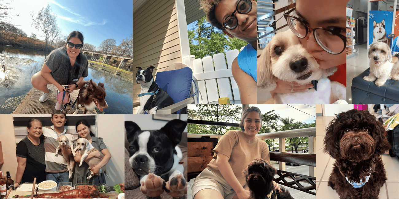 National Dog Day National Dog Day