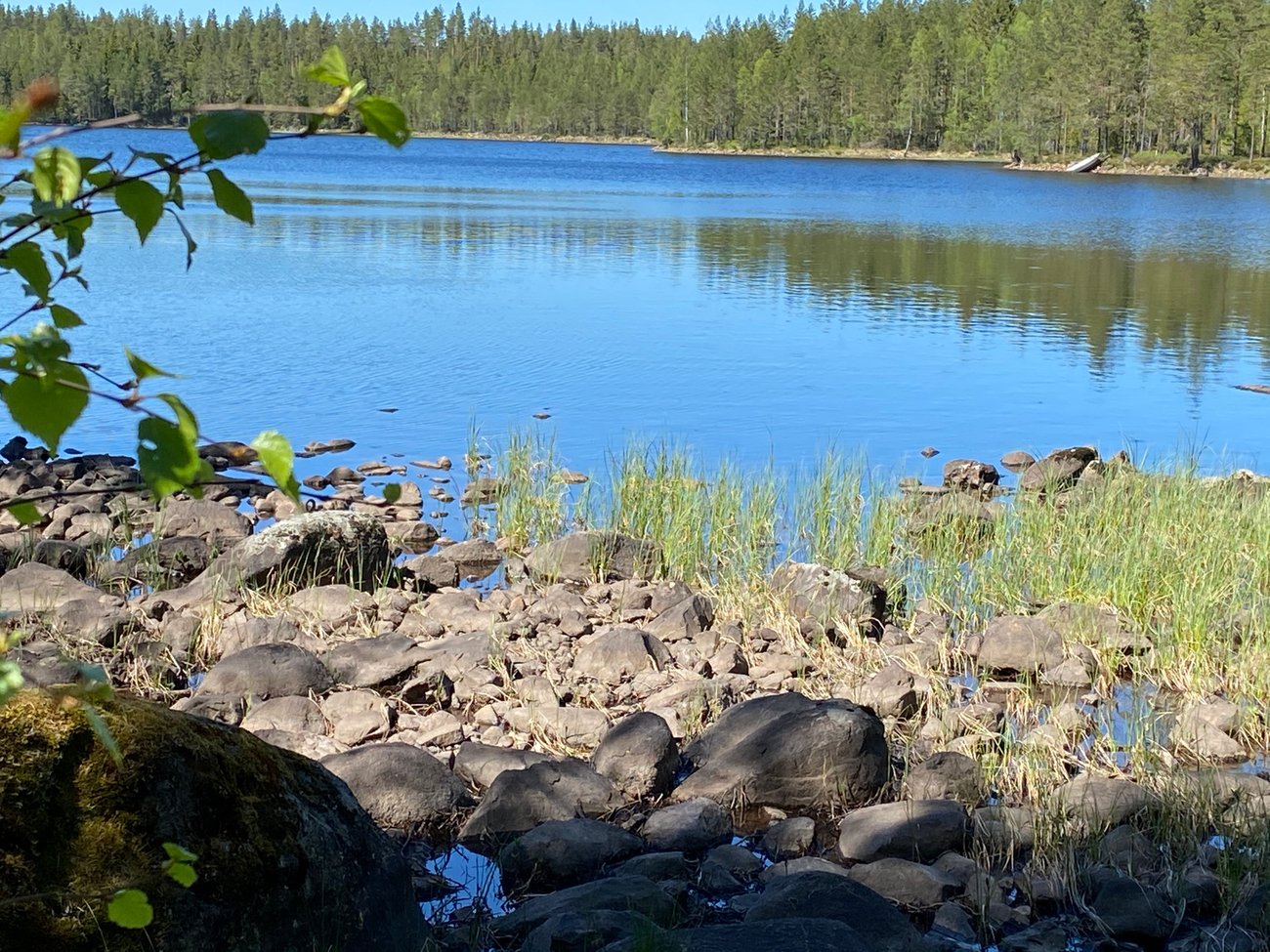 Spannkojan i Ludvika (ej Vännebobrännan), foto: Denise Lauter, Mostphotos
