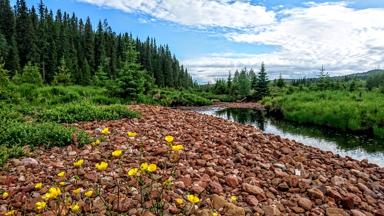 Vildmark i Orsa, foto: BRUN72, Mostphotos