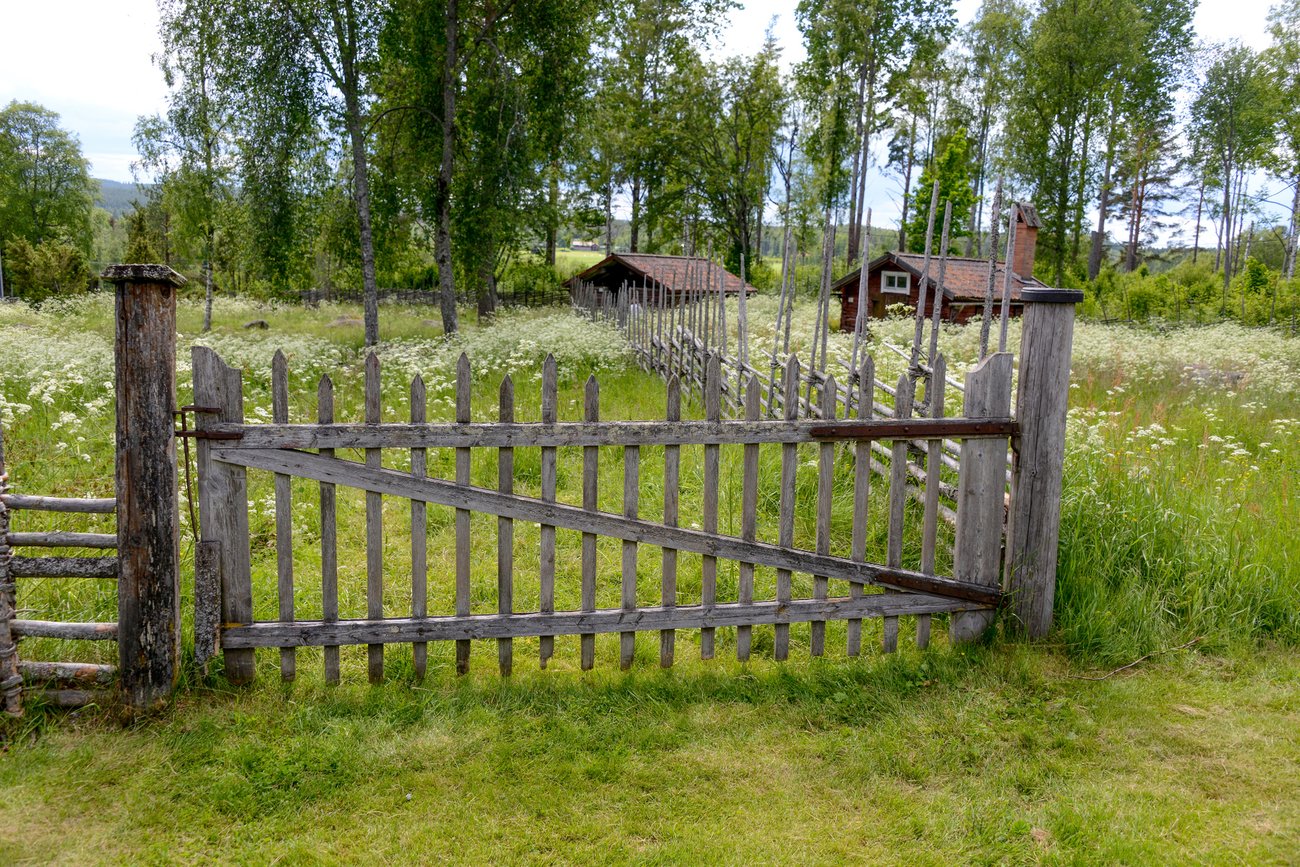 Sommarhage i Bollnäs, foto: Tage Persson, Mostphotos
