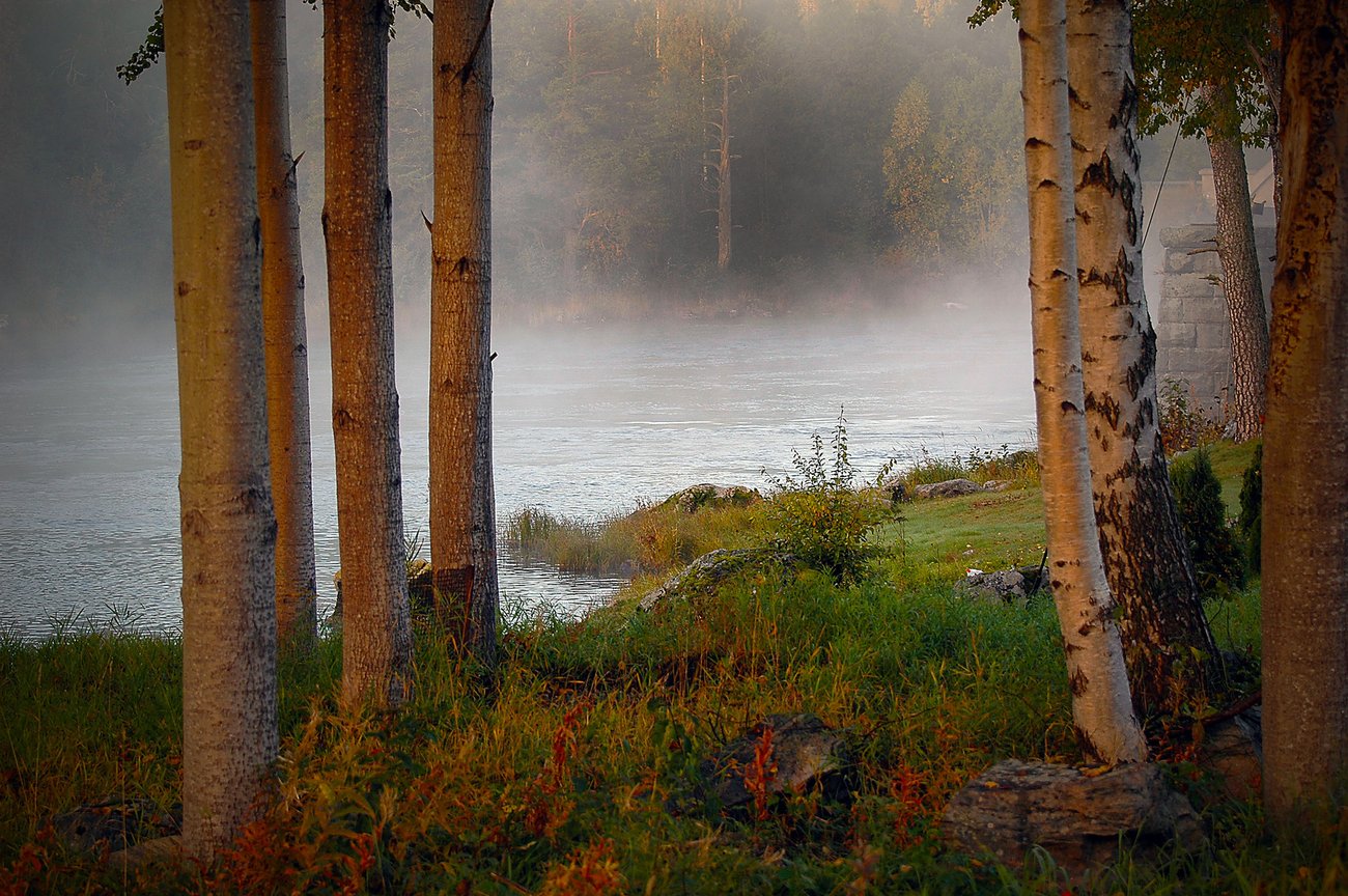 Dimma över Ljusnan, foto: Tage Persson, Mostphotos