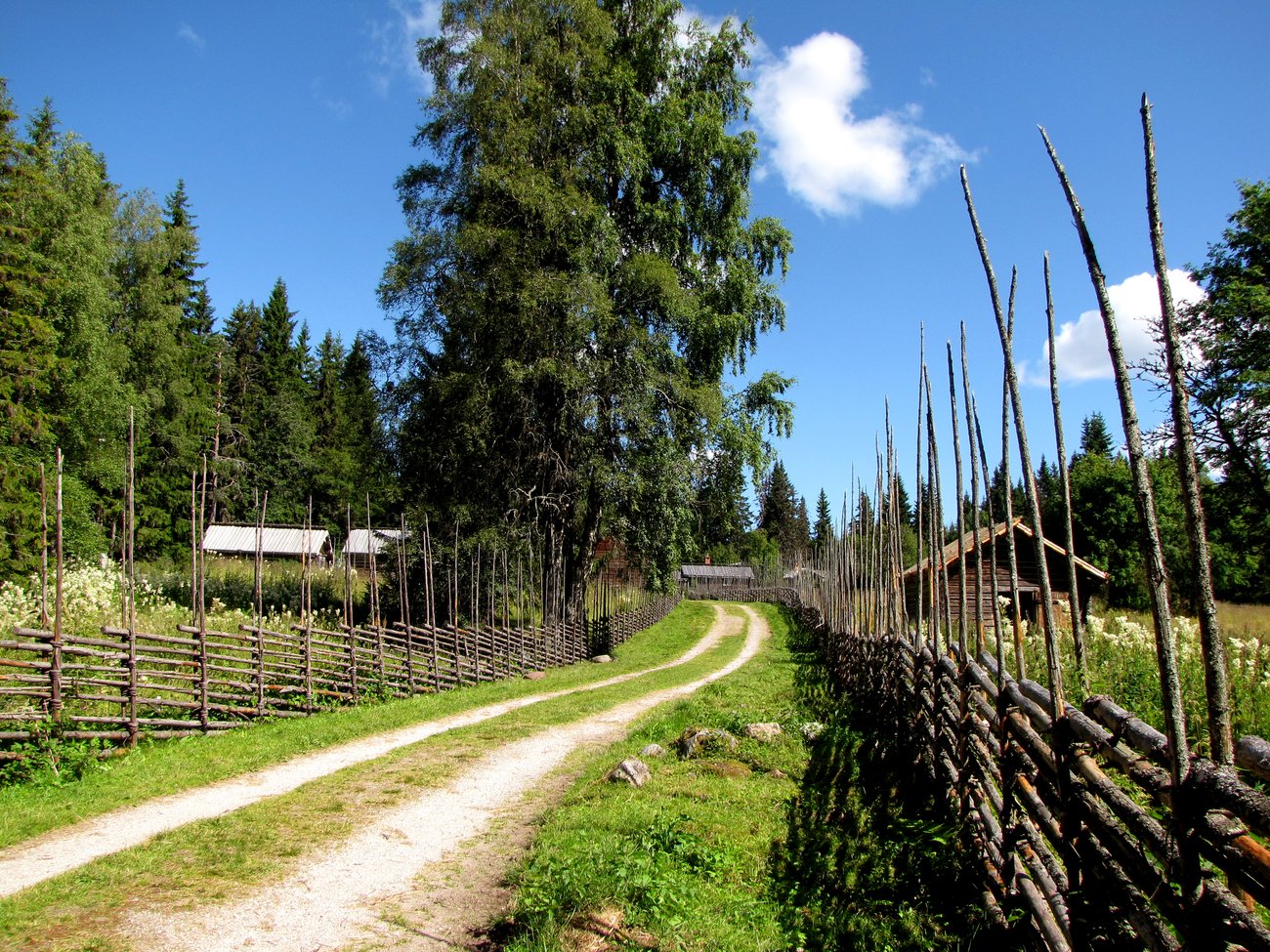 Sommarvy över Skräddar-Djurberga fäbod, foto: BRUN72, Mostphotos