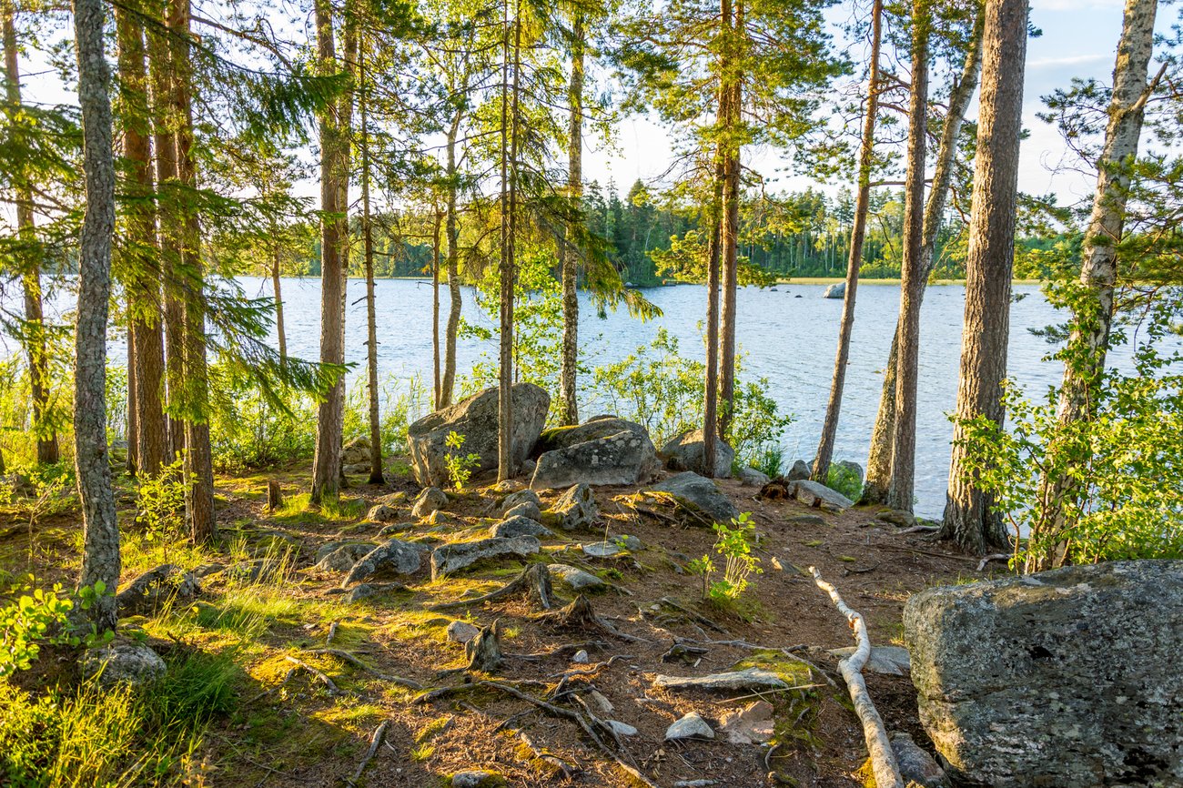 Naturskön holme utanför Söderhamn, foto: Roland Lundgren