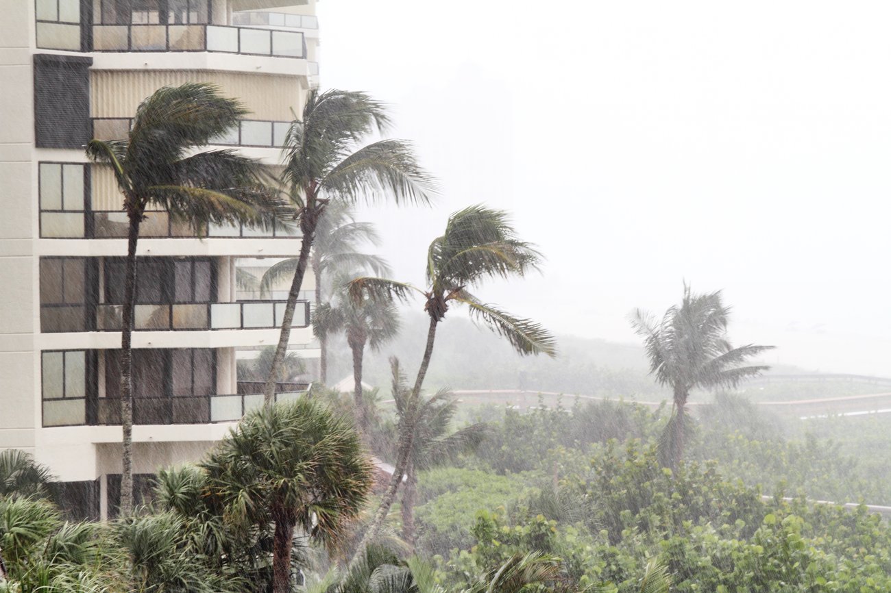 A building and palm trees undergoing a storm with rain