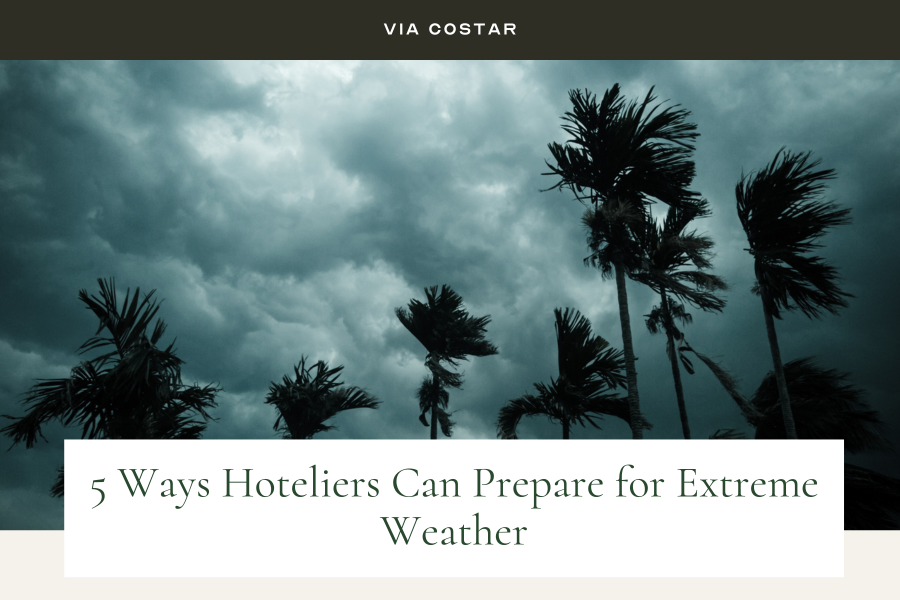 Via CoStar image: palm trees in grey stormy weather