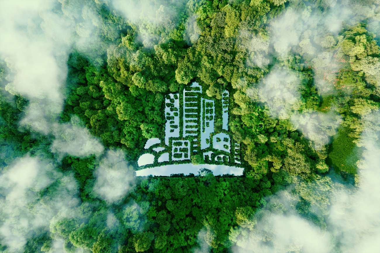 aerial view of forrest. A city illustration is in the center.