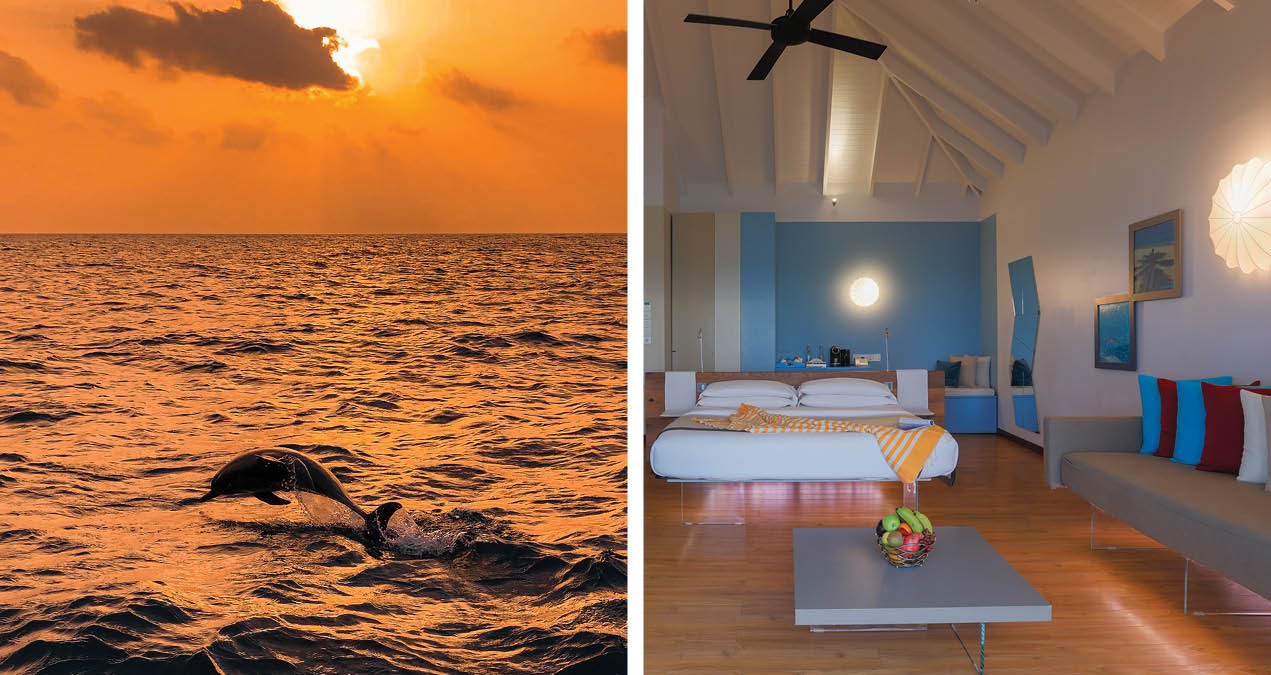 Cocoon Maldives Atmosphere
