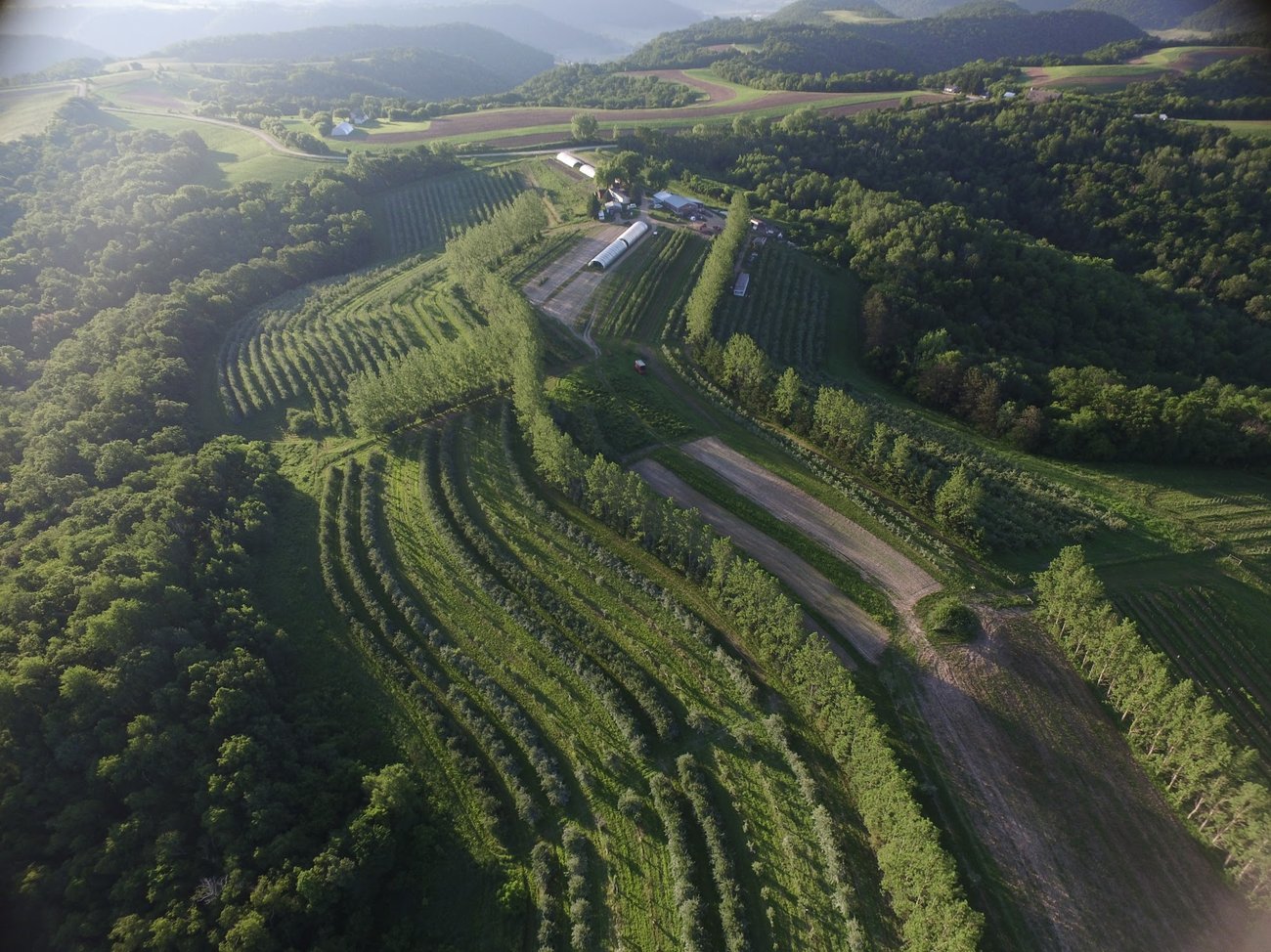 Is it Forest or is it Pasture?