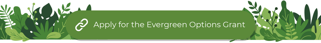 A green button that reads “Apply for the Evergreen Options Grant” on top of an illustrated banner of plant foliage.