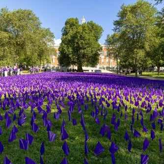 Ekspozisyon drapo mòv yo plante nan Boston Common