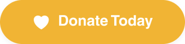 Donate Today to Vision