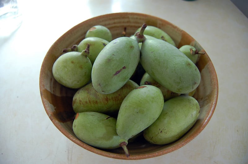 Photo of a bowl of pawpaw fruit (via Le Mai on Flickr)
