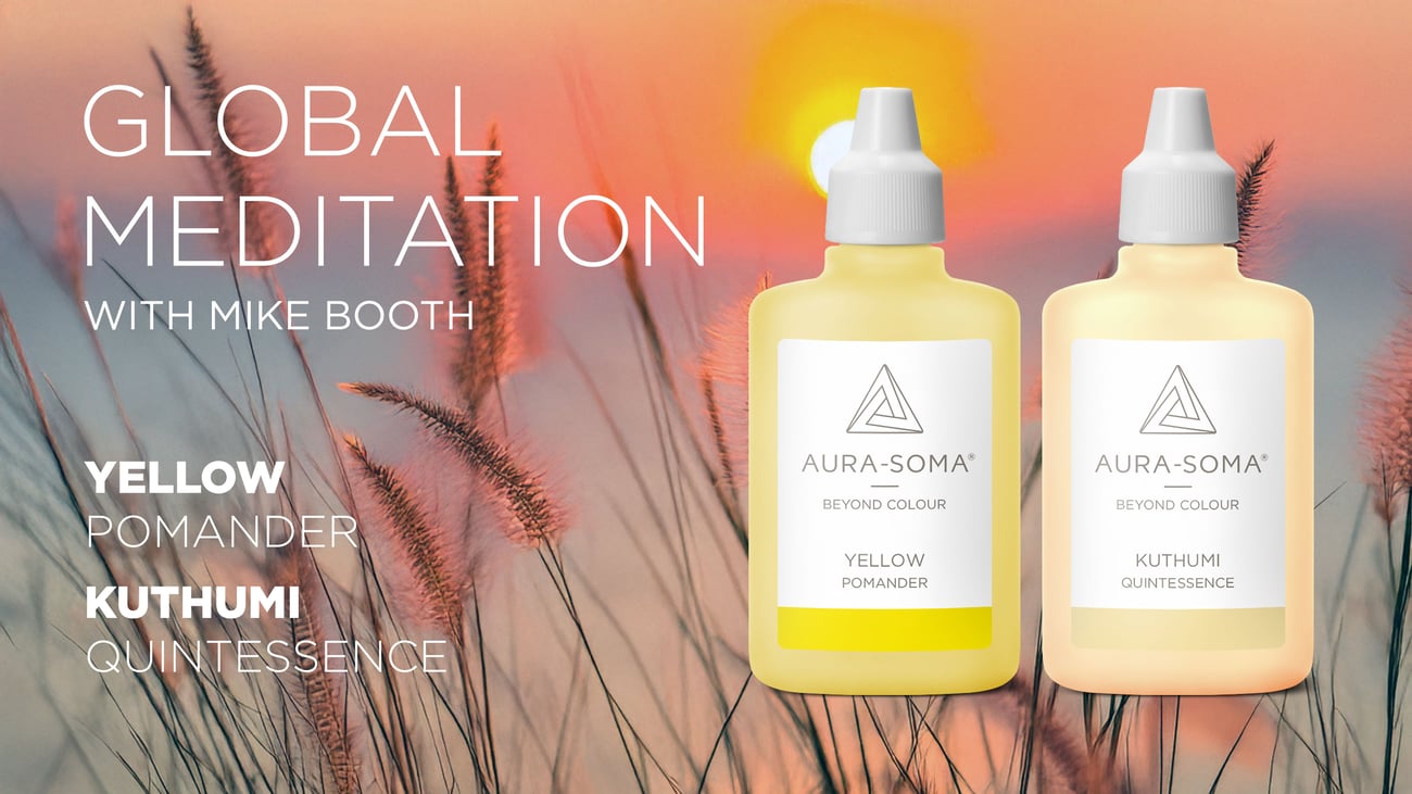 Global Meditation hosted on Zoom