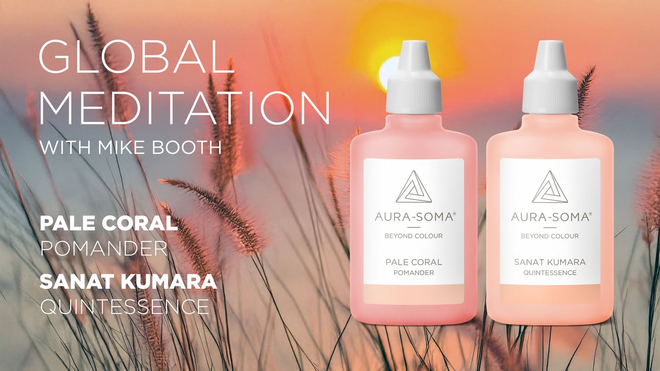 Global Meditation hosted on Zoom