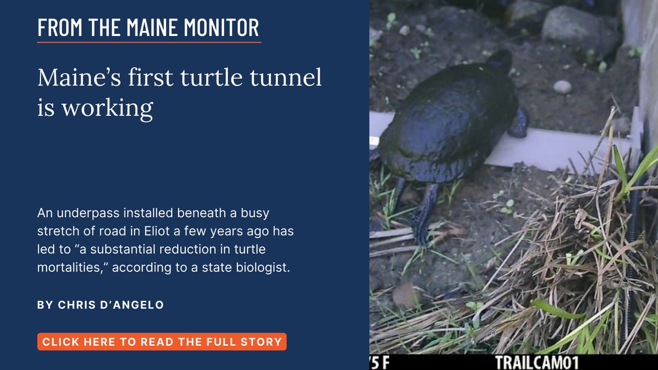 Maine's first turtle tunnel is working. An underpass installed beneath a busy stretch of road in Eliot a few years ago has led to 